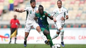 底特律老虎队凭借防守布阵与强力轮值，成为 2025 赛季最大的黑马