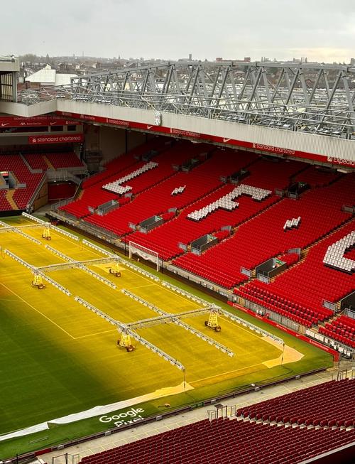 勇创佳绩！商洛籍运动员在全国残运会射箭射击项目中斩获3金1铜